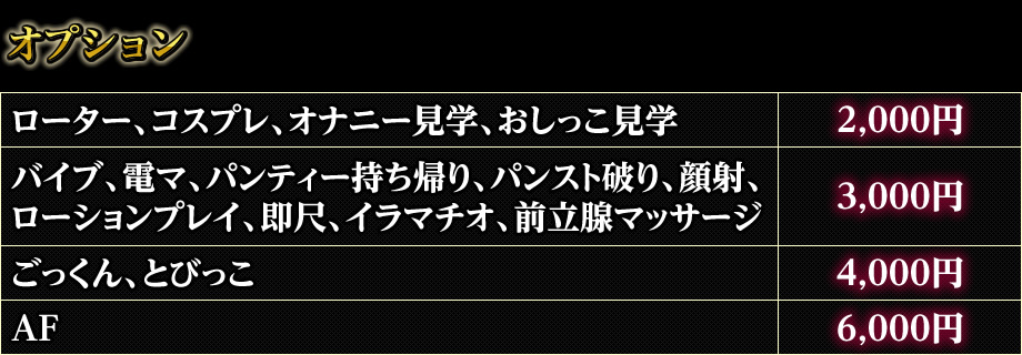 オプション料金